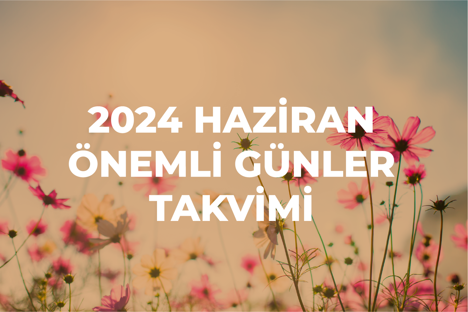 Haziran Ayı Önemli Günler – 2024