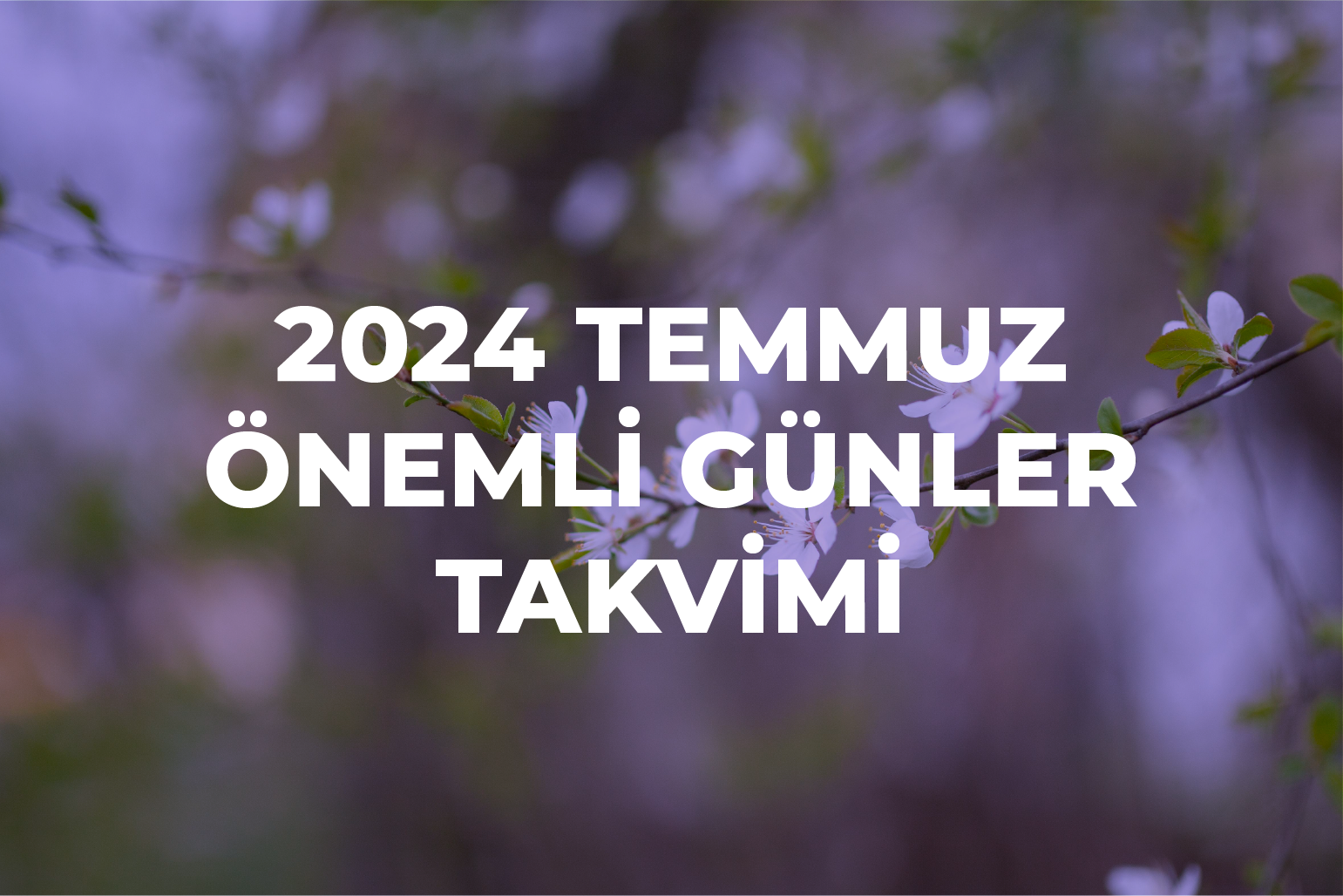 Temmuz Ayı Önemli Günler – 2024